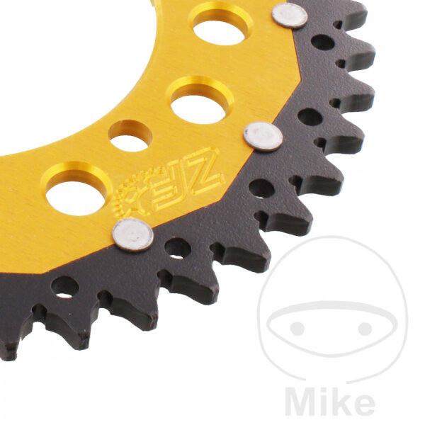 Pignone  DUA 43 denti passo 520 GO ZF 110 / 130
