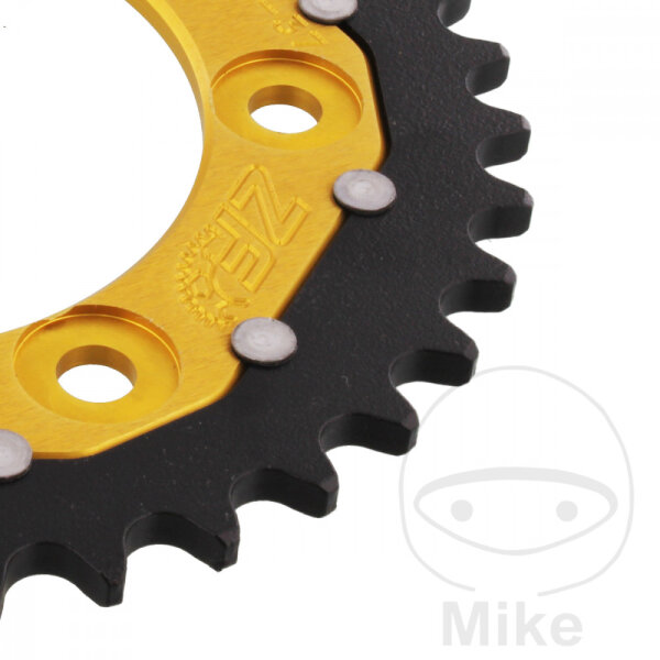 Pignone  DUA 37 denti passo 520 GO ZF 100 / 124