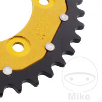 Kettenrad  DUA 39 Z&auml;hne Teilung 520 GO ZF 100 / 124