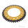 Pignone  DUA 45 denti passo 520 GO ZF 125 / 145