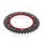 Pignone  DUA 41 denti passo 525 RT ZF 134 / 160