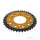 Pignone  DUA 40 denti passo 525 GO ZF 080 / 110