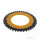 Pignone  DUA 42 denti passo 525 GO ZF 120 / 140
