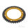Pignone  DUA 42 denti passo 530 GO ZF 134 / 160
