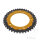 Pignone  DUA 40 denti passo 530 GO ZF 120 / 140