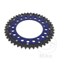 Pignone  DUA 43 denti passo 530 BL ZF 120 / 140