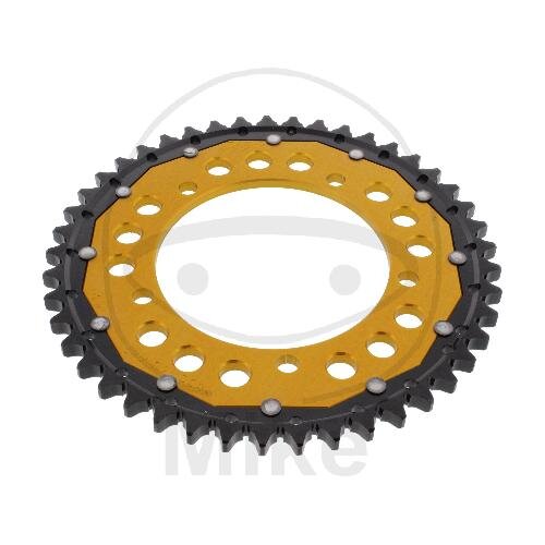 Pignone  DUA 45 denti passo 530 GO ZF 120 / 140