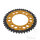 Pignone  DUA 43 denti passo 530 GO ZF 110 / 130