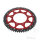Pignone  DUA 62 denti passo 428 RT ZF 105 / 125