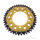 Pi&ntilde;&oacute;n  DUA 42 dientes paso 525 GO ZF 100 / 120