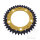 Pignone  DUA 39 denti passo 520 GO ZF 112 / 138