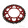 Pignone  DUA 55 denti passo 428 RT ZF 108 / 123