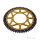 Pignone  DUA 62 denti passo 420 GO ZF 100 / 120