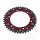Sprocket  DUA 41 teeth pitch 520 RT ZF 126 / 146