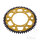 Pignone  DUA 56 denti passo 428 GO ZF 108 / 123