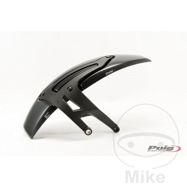 Abdeckung Hinterrad carbon f&uuml;r BMW R 1200 R 2014-2017 # R 1200 RS 2015-2017