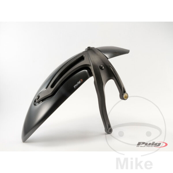 Cover rear wheel carbon for BMW R 1200 Nine T # 2015-2017