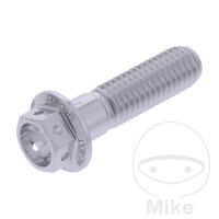Schraube M8x1,25x30 f&uuml;r Aprilia 50 125 150 200 250...