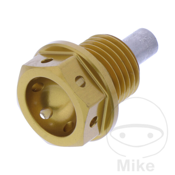 &Ouml;lablasschraube M14X1.50MM Honda NT 650 V Deauville CBR 1100 XX Super Blackbird