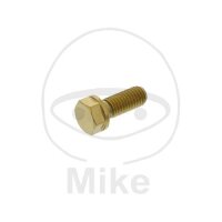 Schraube M8x1,25x20 f&uuml;r Aprilia BMW Ducati Moto Guzzi
