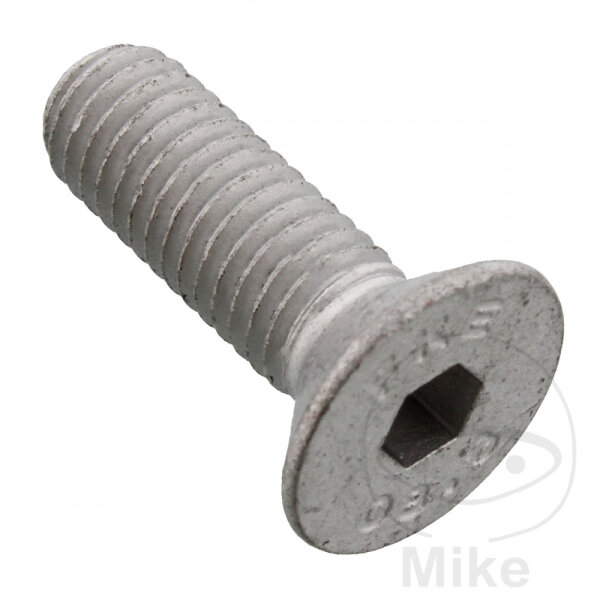 SCHR  OE M8X1.25X20MM