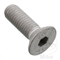 SCHR  OE M8X1.25X20MM