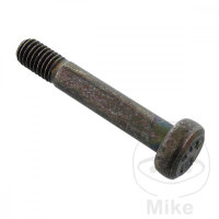 SCHR  OE M8X1.25X48MM