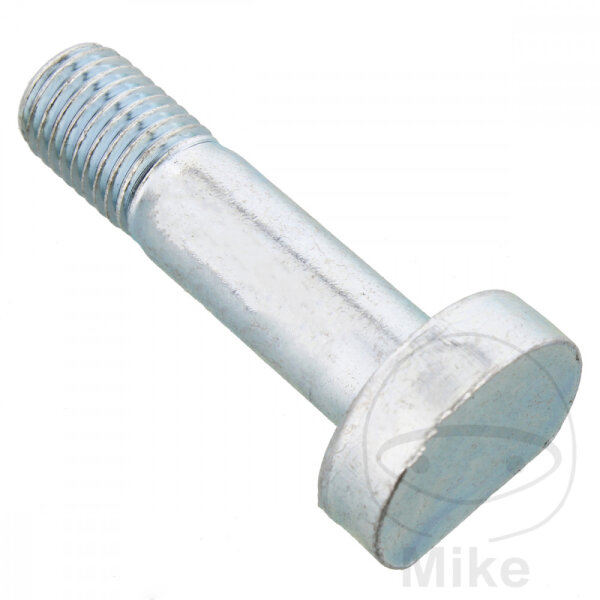 SCHR  OE M10X1.25X38MM