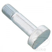 SCHR  OE M10X1.25X38MM