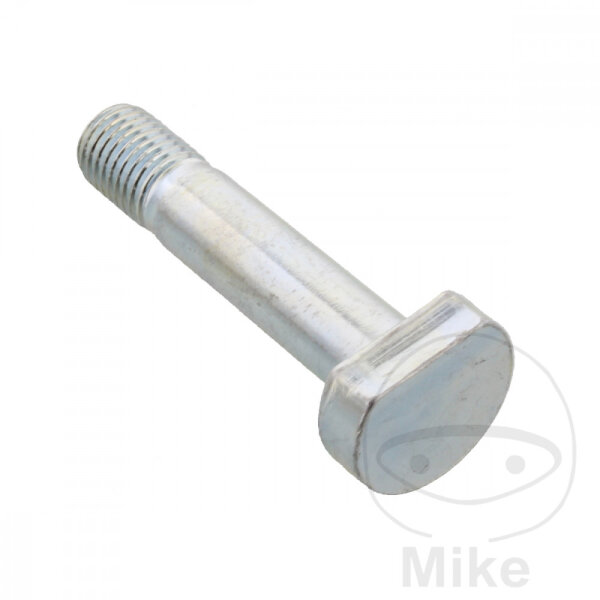 SCHR  OE M10X1.25X46MM