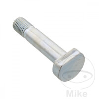 SCHR  OE M10X1.25X46MM
