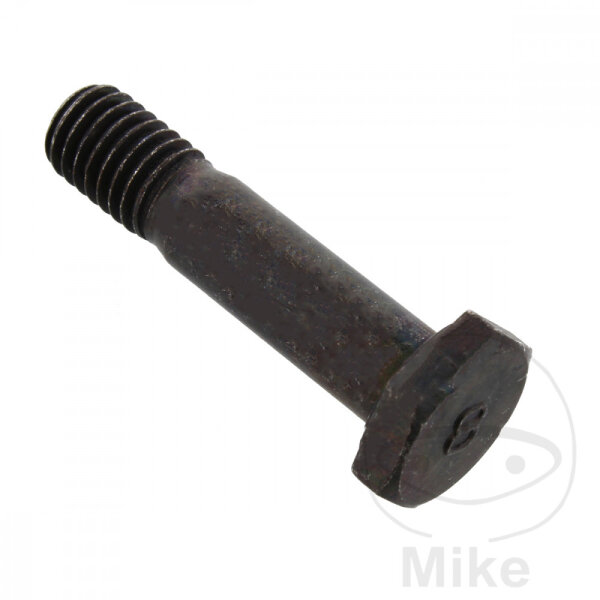 SCHR  OE M8X1.25X35MM