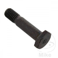 SCHR  OE M8X1.25X35MM