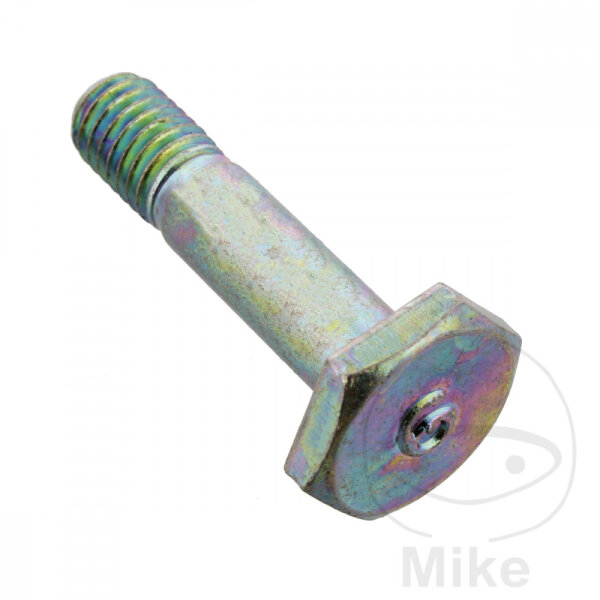 SCHR  OE M8X1.25X35MM