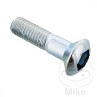 SCHR  OE M8X1.25X27MM