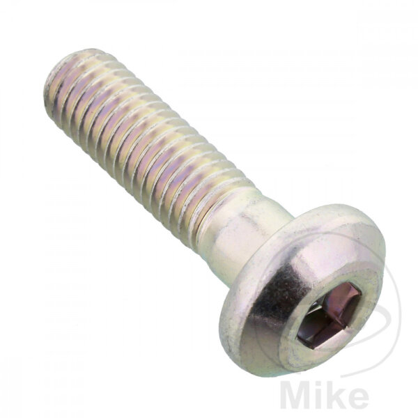 SCHR  OE M8X1.25X30MM