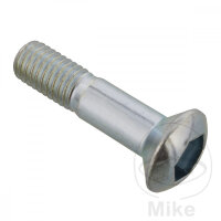 SCHR  OE M8X1.25X30MM