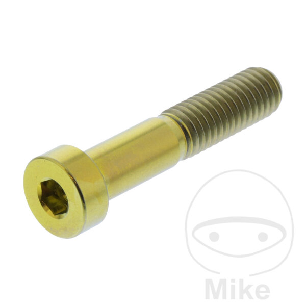 Cheese head screw for Aprilia Ducati Kawasaki Triumph