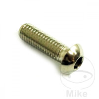 Schraube M8x1,25x25 f&uuml;r BMW C1 125 200 F 800 K 100...