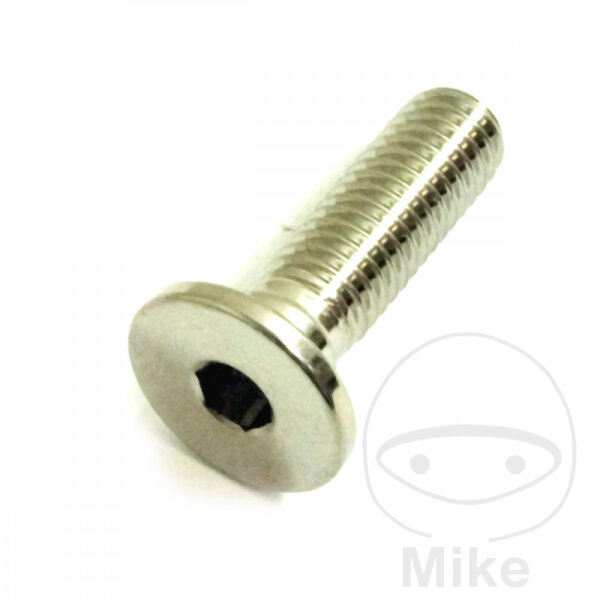 Tornillo M8x1,25x26 para BMW F 750 800 850 K 1300 1600 R 1200 1250 S 1000