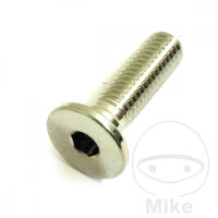 Schraube M8x1,25x26 f&uuml;r BMW F 750 800 850 K 1300...
