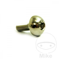 Schraube M6x1x17 f&uuml;r Honda 600 700 750 800 900 1000...