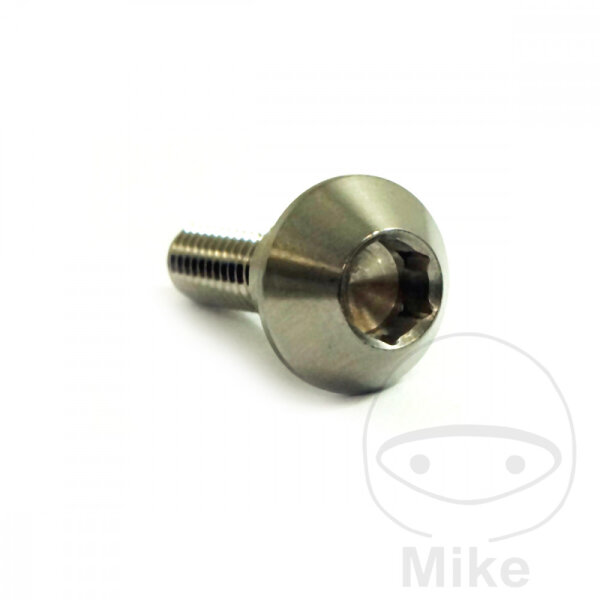 Vite M6x1x20 per Yamaha 125 250 400 500 600 660 700 750 800 850 900 1000 1300 1700