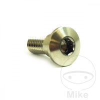 Schraube M8x1,25x22 f&uuml;r Suzuki 125 150 200 250 400...
