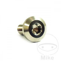 Schraube M8x1,25x18 f&uuml;r Triumph 660 800 865 900 955...