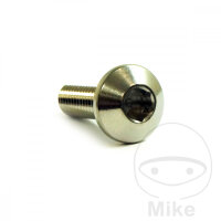 Schraube M8x1,25x25 f&uuml;r Yamaha 250 400 500 530 600...