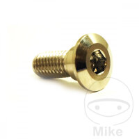 Schraube M8x1,25x20 f&uuml;r Yamaha 600 660 700 850 900