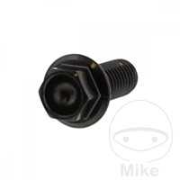 Schraube M8x1,25x20 f&uuml;r Aprilia BMW Ducati Moto Guzzi