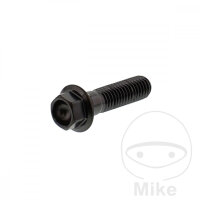 Schraube M8x1,25x30 f&uuml;r Aprilia 50 125 150 200 250...