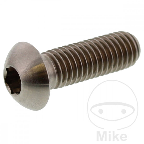Tornillo M8x1,25x25 para BMW C1 125 200 F 800 K 100 1100 1200 K1 1000 R 850 1100 1150 1200